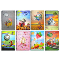 ТЕТРАДЬ В-5, 80 л,  клетка, 3D-АПЛИКАЦИЯ, 2093, обл.180 гр, спираль, 17,5 х 25,50 см.
